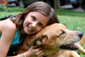 Como saber qui me perro es un perro feliz - Educacion canina - Canitips
